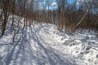 the snow - covered trail in the woods is marked with lines and dots and a line of tracks