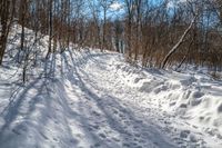 the snow - covered trail in the woods is marked with lines and dots and a line of tracks