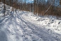 the snow - covered trail in the woods is marked with lines and dots and a line of tracks