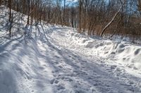 the snow - covered trail in the woods is marked with lines and dots and a line of tracks