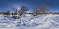 the sun shines over a snowy field of trees and shrubs, with shadows, snow on the ground