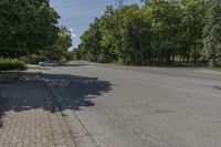 Canadian Suburban Landscape: A Day in a Grassy Lot