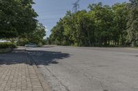 Canadian Suburban Landscape: A Day in a Grassy Lot