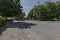 Canadian Suburban Landscape: A Day in a Grassy Lot