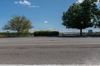 Canadian Suburban Neighbourhood: A Tree-Lined Street