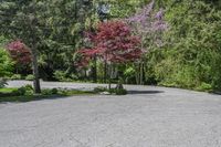 an empty parking lot with trees on both sides and a bench in the middle with a view of the woods behind