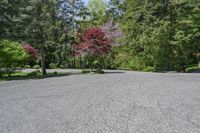 an empty parking lot with trees on both sides and a bench in the middle with a view of the woods behind