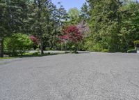 an empty parking lot with trees on both sides and a bench in the middle with a view of the woods behind