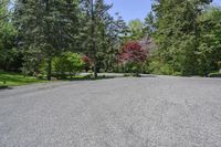 an empty parking lot with trees on both sides and a bench in the middle with a view of the woods behind