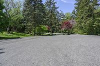 an empty parking lot with trees on both sides and a bench in the middle with a view of the woods behind