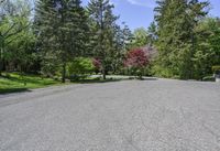 an empty parking lot with trees on both sides and a bench in the middle with a view of the woods behind