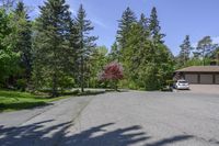 an empty parking lot with trees on both sides and a bench in the middle with a view of the woods behind