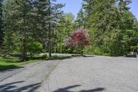 an empty parking lot with trees on both sides and a bench in the middle with a view of the woods behind