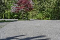 an empty parking lot with trees on both sides and a bench in the middle with a view of the woods behind