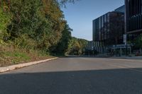 an empty street with bushes and trees along the road in front of it has a green median next to a yellow line