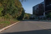 an empty street with bushes and trees along the road in front of it has a green median next to a yellow line