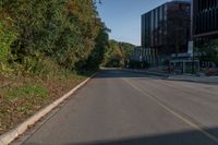 an empty street with bushes and trees along the road in front of it has a green median next to a yellow line