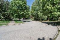 Canadian Suburban Road, Daytime