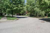 Canadian Suburban Road, Daytime