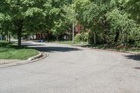 Canadian Suburban Road, Daytime