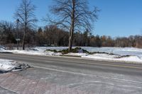 an empty city street covered in snow and ice next to a field of grass with trees and bushes