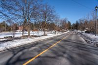 a tree filled road with snow on it's sides and several trees near by