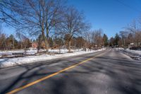 a tree filled road with snow on it's sides and several trees near by