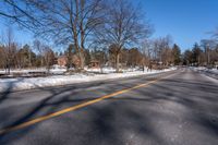 a tree filled road with snow on it's sides and several trees near by