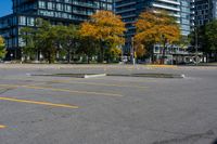 a bunch of empty parking spaces with many trees by them with some blue sky above