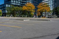 a bunch of empty parking spaces with many trees by them with some blue sky above