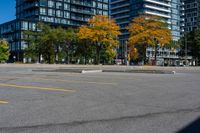 a bunch of empty parking spaces with many trees by them with some blue sky above