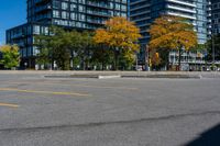 a bunch of empty parking spaces with many trees by them with some blue sky above