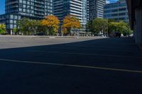 two parking spaces on both sides of an empty lot with trees in the background and buildings in the foreground