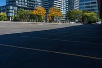 two parking spaces on both sides of an empty lot with trees in the background and buildings in the foreground