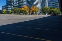 two parking spaces on both sides of an empty lot with trees in the background and buildings in the foreground