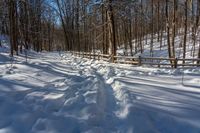 Canadian Winter: Clear Sky Over a Rural Road in Ontario