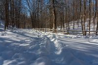 Canadian Winter: Clear Sky Over a Rural Road in Ontario