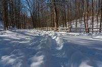 Canadian Winter: Clear Sky Over a Rural Road in Ontario