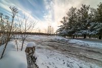 snowy dirt road lined with trees at sunset near the park with snow piled in the foreground