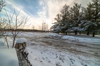 snowy dirt road lined with trees at sunset near the park with snow piled in the foreground