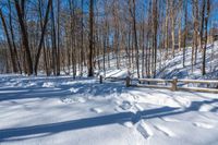 the path of footprints across the snow in a forest of trees and woods behind a fence