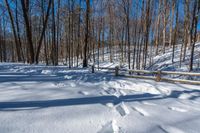 the path of footprints across the snow in a forest of trees and woods behind a fence