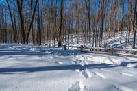 the path of footprints across the snow in a forest of trees and woods behind a fence