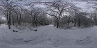 there is a snowy landscape in the snow with trees and snowboards on it,