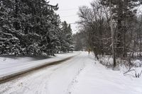 Canadian Winter Landscape: Grey Sky and Snow 001