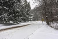 Canadian Winter Landscape with Grey Sky and Snow