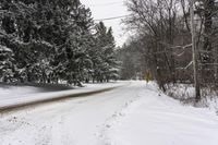 Canadian Winter Landscape with Grey Sky and Snow 003