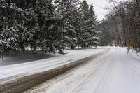 Canadian Winter Landscape - Grey Sky Snow 004