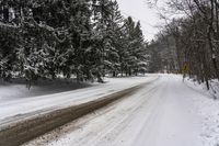 Canadian Winter Landscape with Grey Sky and Snow