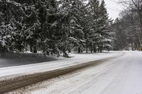 Canadian Winter Landscape with Grey Sky and Snow